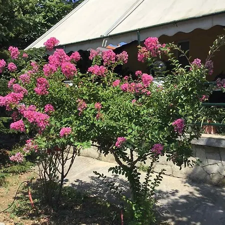 Apartment Marianna Neoi Poroi